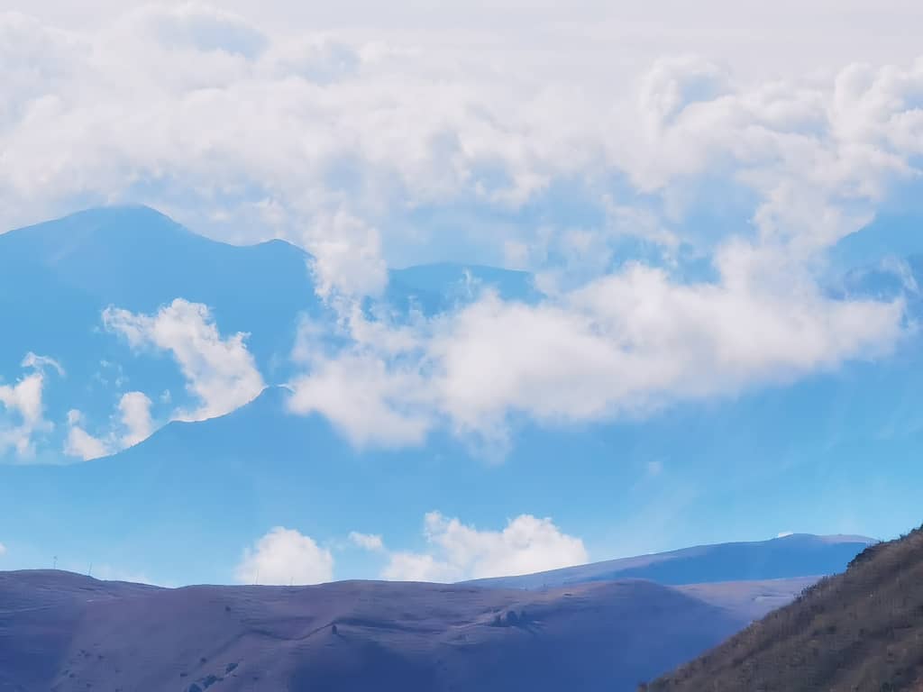 ОсОО «КАМБЫЛ» ТМ Сары-Камыш